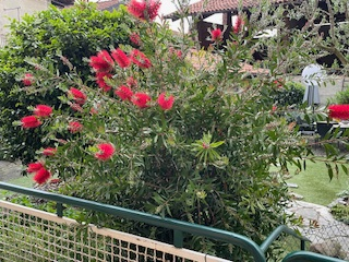 Camelia Casa Vacanze 20